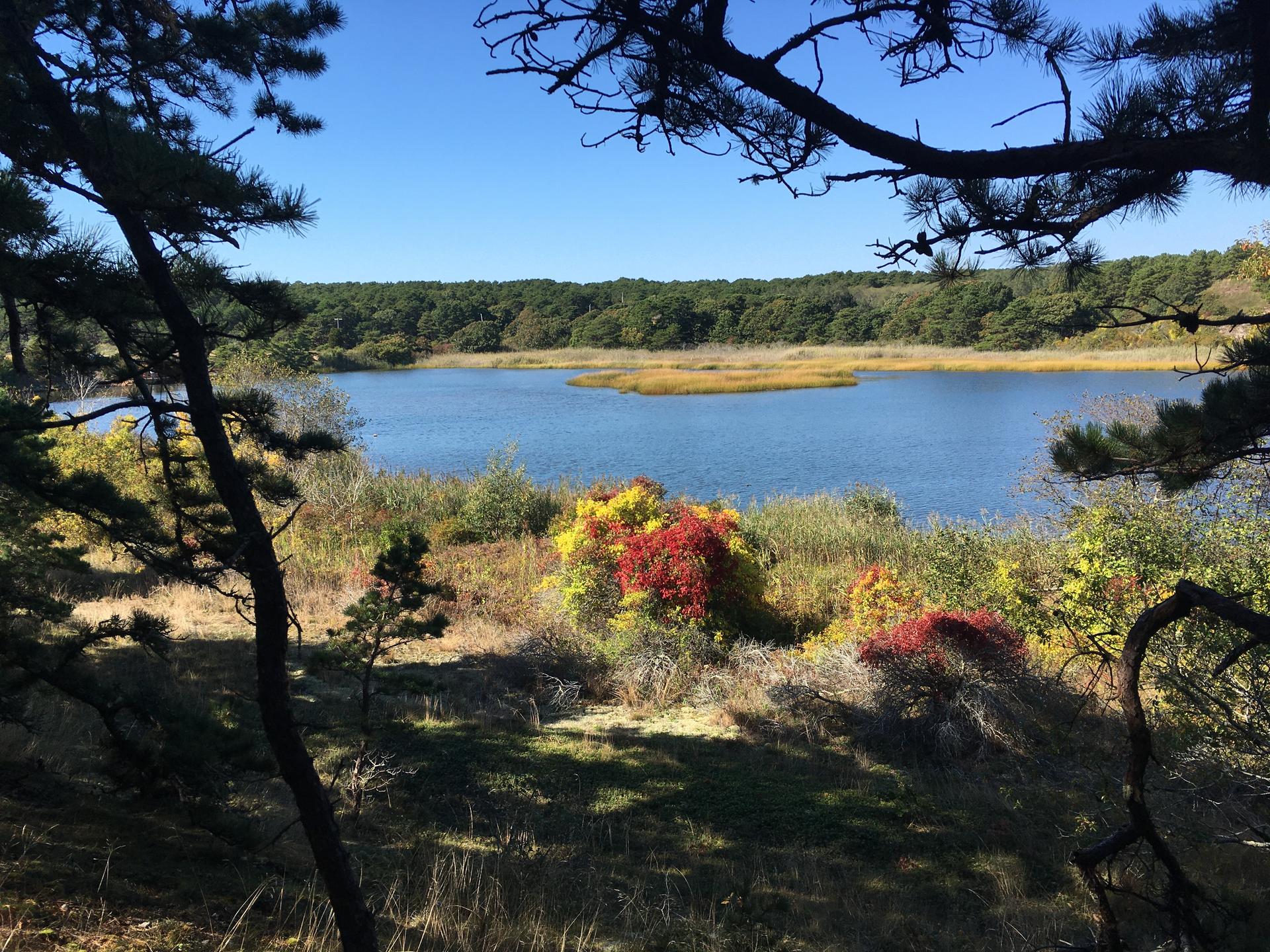 A stunning October day for stunning views from Wellfleet Conservation